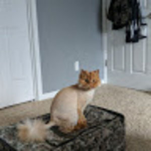 Meet your Posher, Makenzi